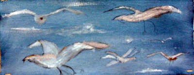 Towards Dover - Gulls over Kent